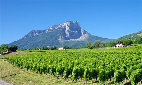 Vignoble Savoie 